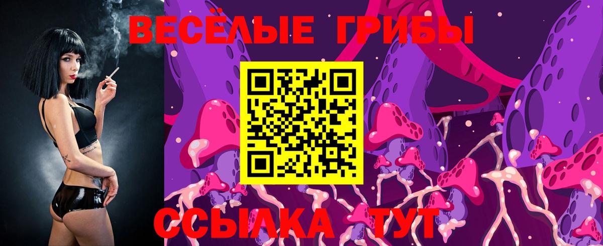 Рузаевка  Галлюциногенные грибы Psilocybine cubensis  Вход с VPN 